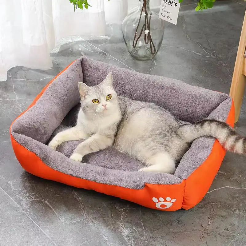 Pet supplies, Online pet store, Dog and cat accessories, Best pet products, Pet food and treats, Affordable pet supplies, Pet grooming essentials, Toys for dogs and cats, Small pet care products, Pet health and wellness