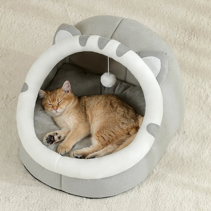 Pet supplies, Online pet store, Dog and cat accessories, Best pet products, Pet food and treats, Affordable pet supplies, Pet grooming essentials, Toys for dogs and cats, Small pet care products, Pet health and wellness