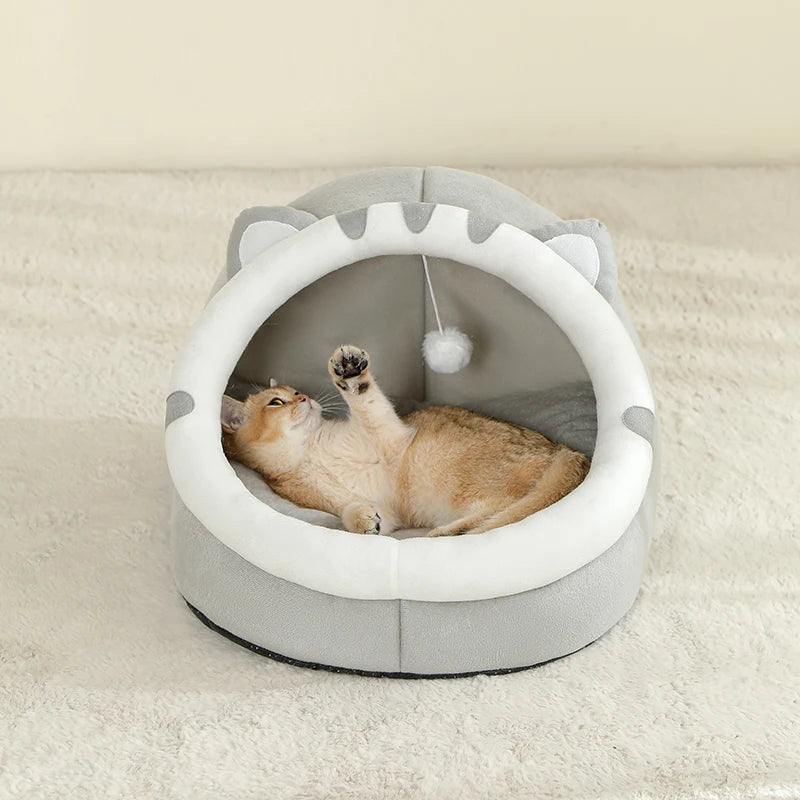 Pet supplies, Online pet store, Dog and cat accessories, Best pet products, Pet food and treats, Affordable pet supplies, Pet grooming essentials, Toys for dogs and cats, Small pet care products, Pet health and wellness