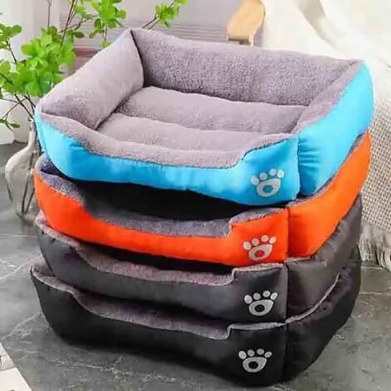 Pet supplies, Online pet store, Dog and cat accessories, Best pet products, Pet food and treats, Affordable pet supplies, Pet grooming essentials, Toys for dogs and cats, Small pet care products, Pet health and wellness
