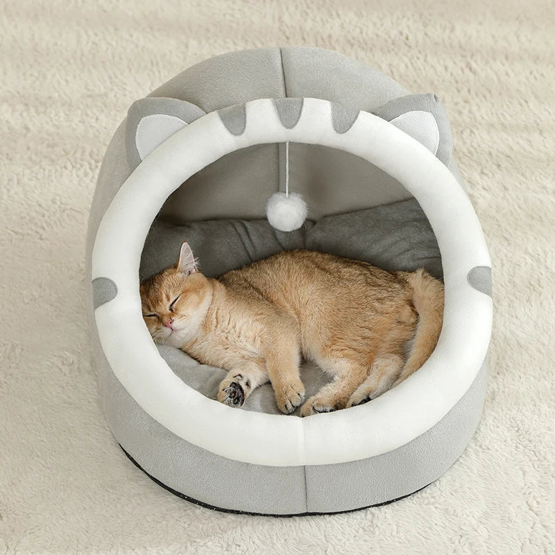 Pet supplies, Online pet store, Dog and cat accessories, Best pet products, Pet food and treats, Affordable pet supplies, Pet grooming essentials, Toys for dogs and cats, Small pet care products, Pet health and wellness