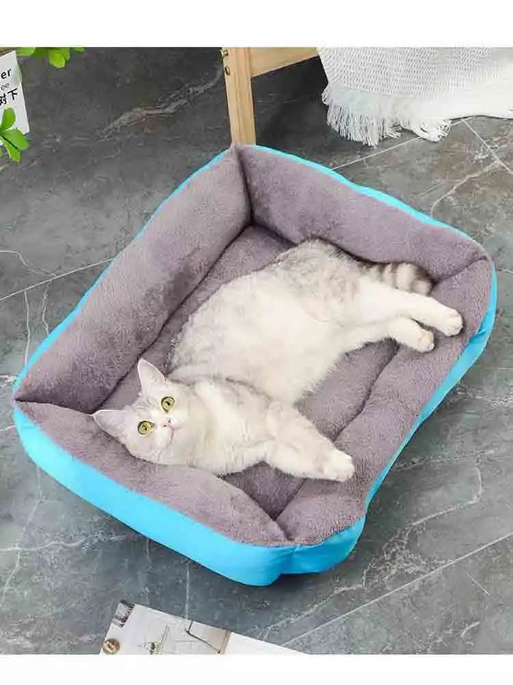Pet supplies, Online pet store, Dog and cat accessories, Best pet products, Pet food and treats, Affordable pet supplies, Pet grooming essentials, Toys for dogs and cats, Small pet care products, Pet health and wellness