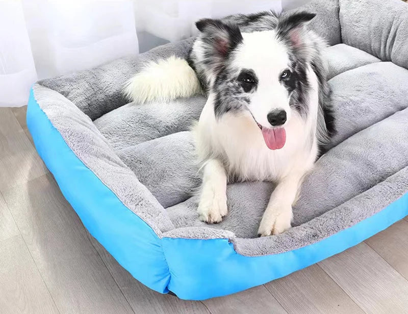 Pet supplies, Online pet store, Dog and cat accessories, Best pet products, Pet food and treats, Affordable pet supplies, Pet grooming essentials, Toys for dogs and cats, Small pet care products, Pet health and wellness