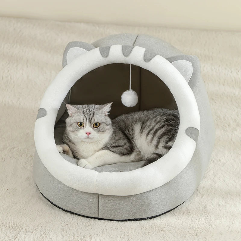 Pet supplies, Online pet store, Dog and cat accessories, Best pet products, Pet food and treats, Affordable pet supplies, Pet grooming essentials, Toys for dogs and cats, Small pet care products, Pet health and wellness