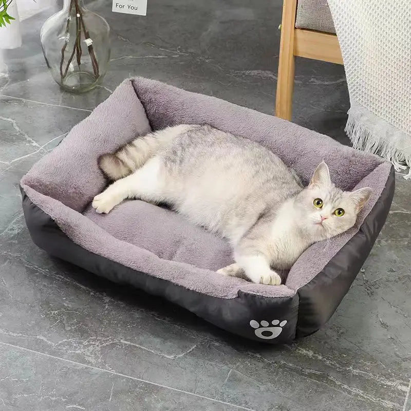 Pet supplies, Online pet store, Dog and cat accessories, Best pet products, Pet food and treats, Affordable pet supplies, Pet grooming essentials, Toys for dogs and cats, Small pet care products, Pet health and wellness