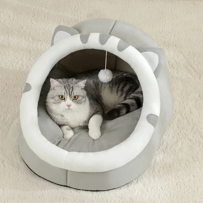 Pet supplies, Online pet store, Dog and cat accessories, Best pet products, Pet food and treats, Affordable pet supplies, Pet grooming essentials, Toys for dogs and cats, Small pet care products, Pet health and wellness
