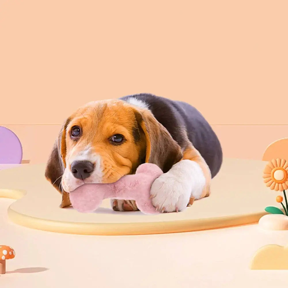 Pet supplies, Online pet store, Dog and cat accessories, Best pet products, Pet food and treats, Affordable pet supplies, Pet grooming essentials, Toys for dogs and cats, Small pet care products, Pet health and wellness