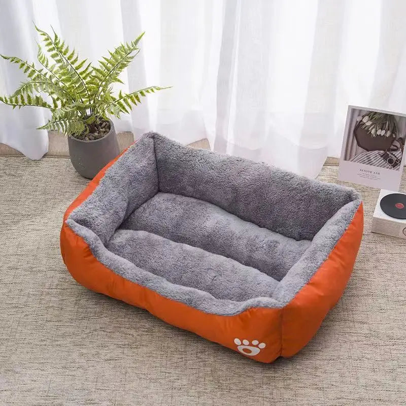 Pet supplies, Online pet store, Dog and cat accessories, Best pet products, Pet food and treats, Affordable pet supplies, Pet grooming essentials, Toys for dogs and cats, Small pet care products, Pet health and wellness