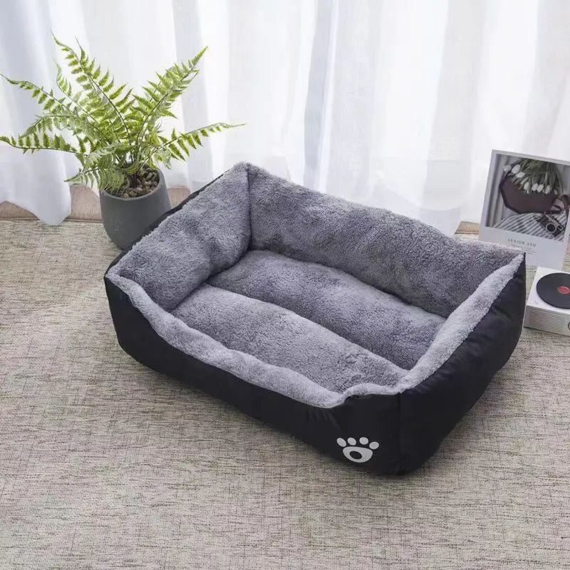 Pet supplies, Online pet store, Dog and cat accessories, Best pet products, Pet food and treats, Affordable pet supplies, Pet grooming essentials, Toys for dogs and cats, Small pet care products, Pet health and wellness