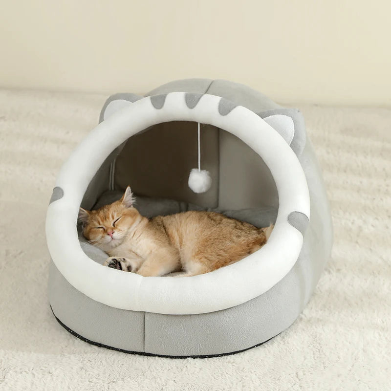Pet supplies, Online pet store, Dog and cat accessories, Best pet products, Pet food and treats, Affordable pet supplies, Pet grooming essentials, Toys for dogs and cats, Small pet care products, Pet health and wellness