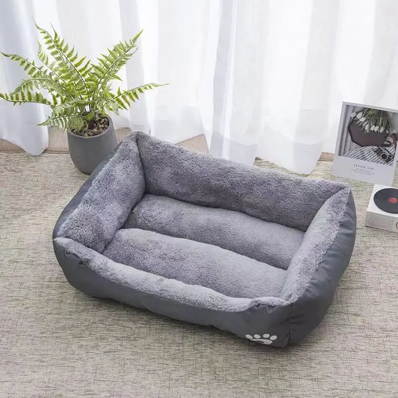 Pet supplies, Online pet store, Dog and cat accessories, Best pet products, Pet food and treats, Affordable pet supplies, Pet grooming essentials, Toys for dogs and cats, Small pet care products, Pet health and wellness