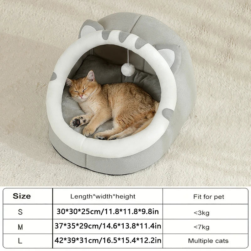 Pet supplies, Online pet store, Dog and cat accessories, Best pet products, Pet food and treats, Affordable pet supplies, Pet grooming essentials, Toys for dogs and cats, Small pet care products, Pet health and wellness