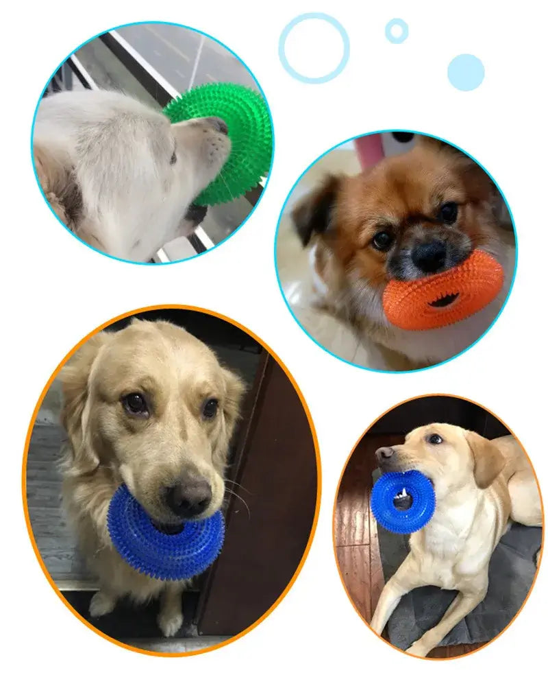 Pet supplies, Online pet store, Dog and cat accessories, Best pet products, Pet food and treats, Affordable pet supplies, Pet grooming essentials, Toys for dogs and cats, Small pet care products, Pet health and wellness