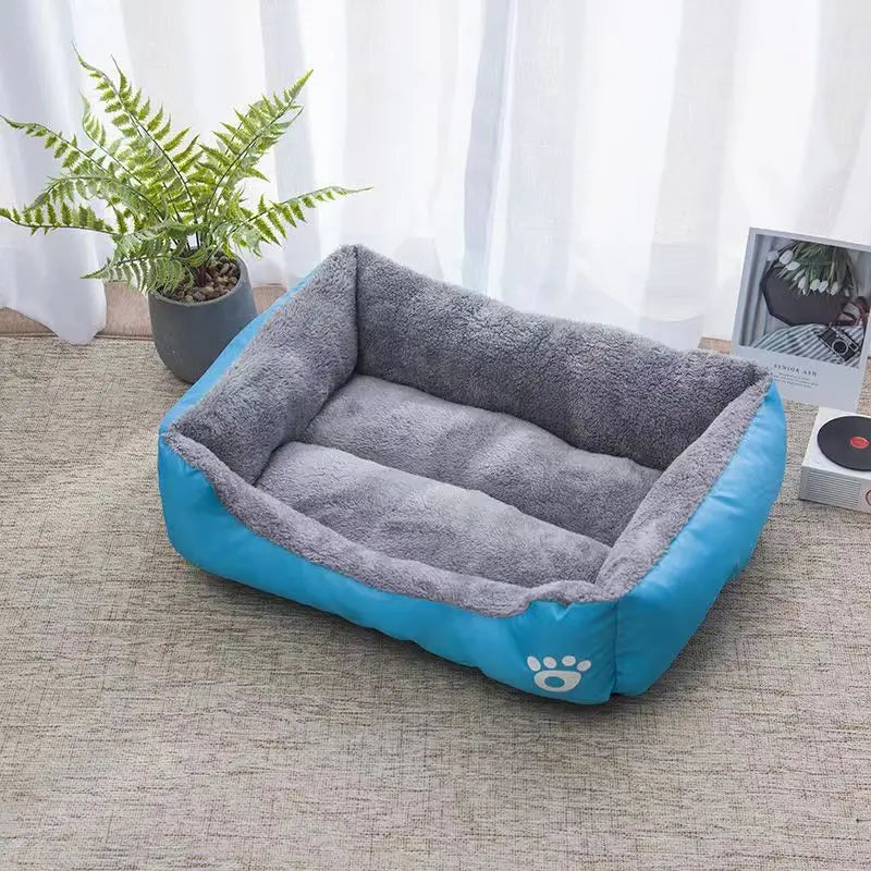 Pet supplies, Online pet store, Dog and cat accessories, Best pet products, Pet food and treats, Affordable pet supplies, Pet grooming essentials, Toys for dogs and cats, Small pet care products, Pet health and wellness
