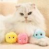 Pet supplies, Online pet store, Dog and cat accessories, Best pet products, Pet food and treats, Affordable pet supplies, Pet grooming essentials, Toys for dogs and cats, Small pet care products, Pet health and wellness