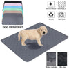 Pet supplies, Online pet store, Dog and cat accessories, Best pet products, Pet food and treats, Affordable pet supplies, Pet grooming essentials, Toys for dogs and cats, Small pet care products, Pet health and wellness