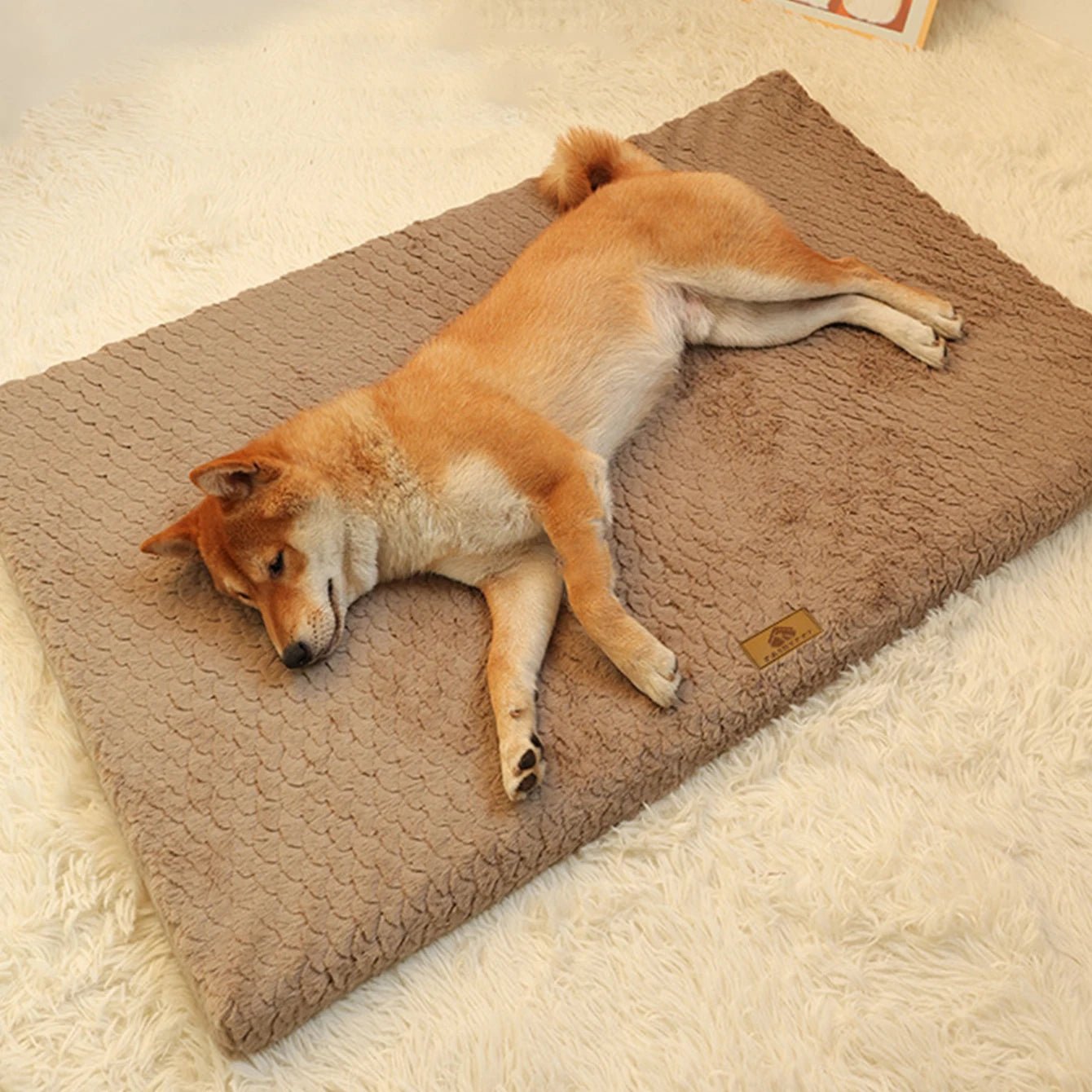 Dog Bed Detachable Neck Guard Dog Sleeping Mat Soft Full Cat Kennel Four Seasons Warm Elastic Pet Dog Sofa - AnimalEssentials