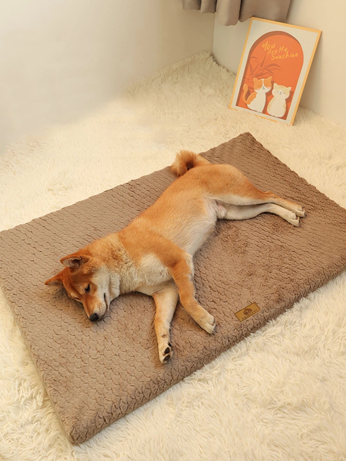 Dog Bed Detachable Neck Guard Dog Sleeping Mat Soft Full Cat Kennel Four Seasons Warm Elastic Pet Dog Sofa - AnimalEssentials