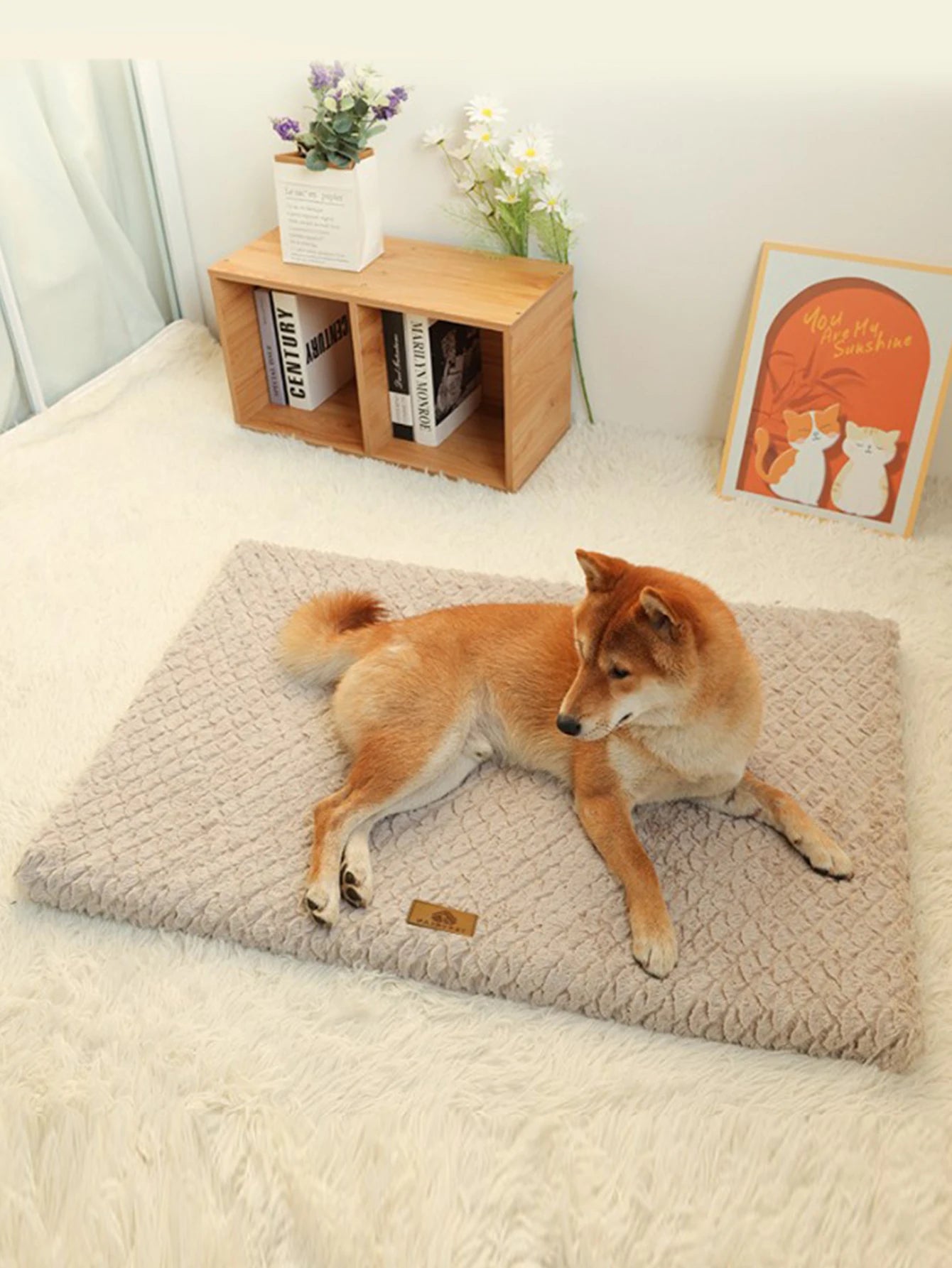 Dog Bed Detachable Neck Guard Dog Sleeping Mat Soft Full Cat Kennel Four Seasons Warm Elastic Pet Dog Sofa - AnimalEssentials