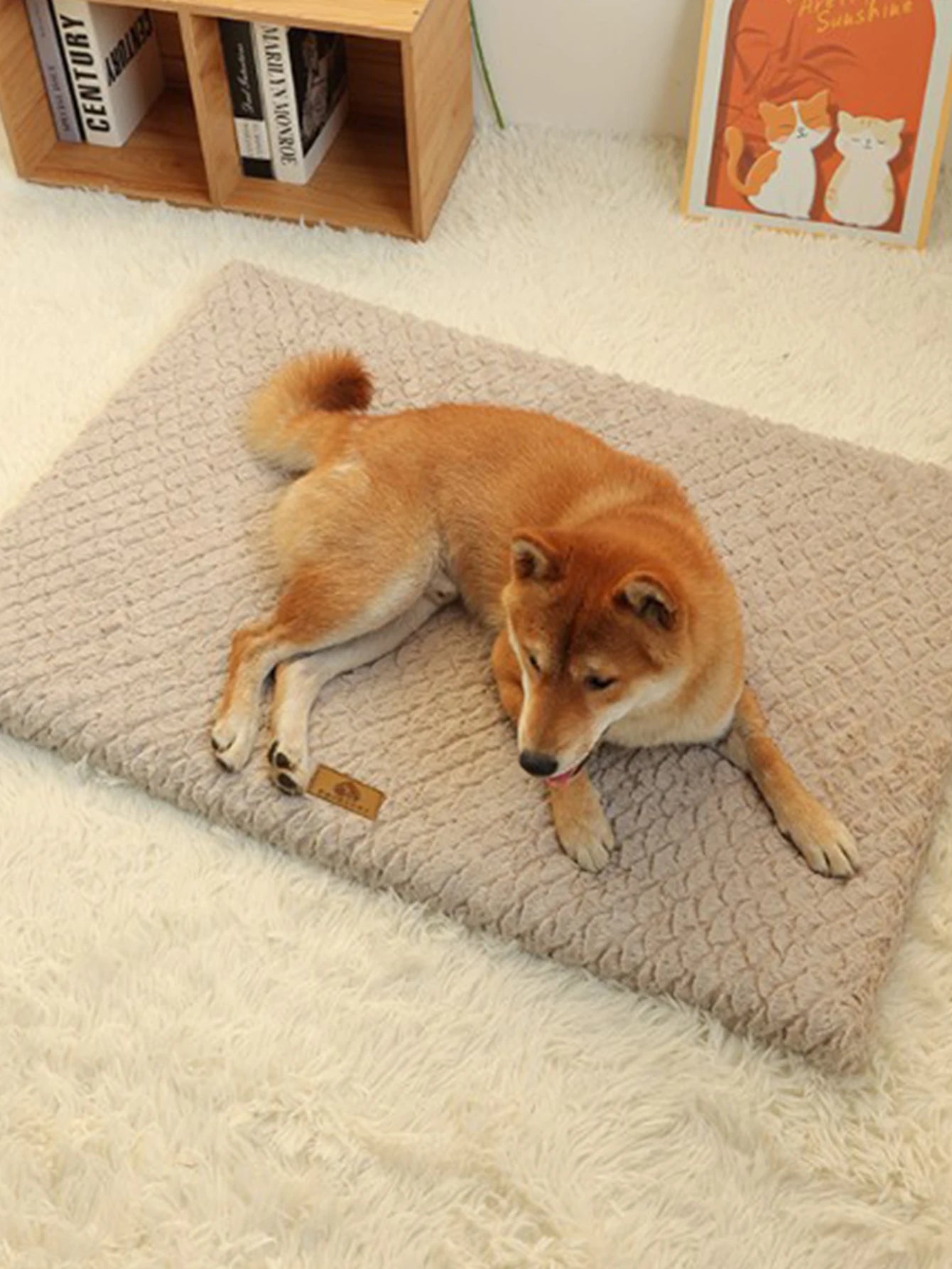 Dog Bed Detachable Neck Guard Dog Sleeping Mat Soft Full Cat Kennel Four Seasons Warm Elastic Pet Dog Sofa - AnimalEssentials