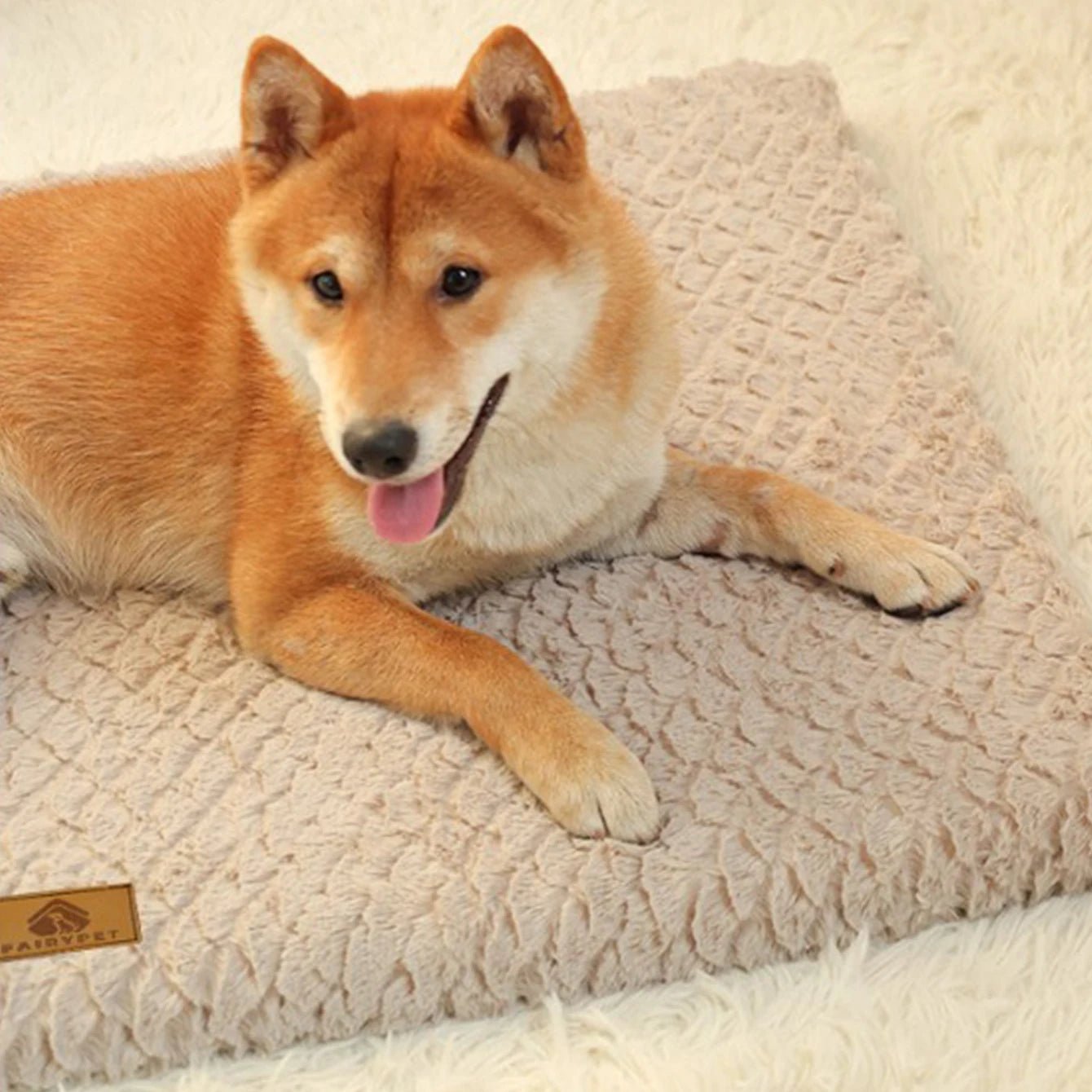 Dog Bed Detachable Neck Guard Dog Sleeping Mat Soft Full Cat Kennel Four Seasons Warm Elastic Pet Dog Sofa - AnimalEssentials