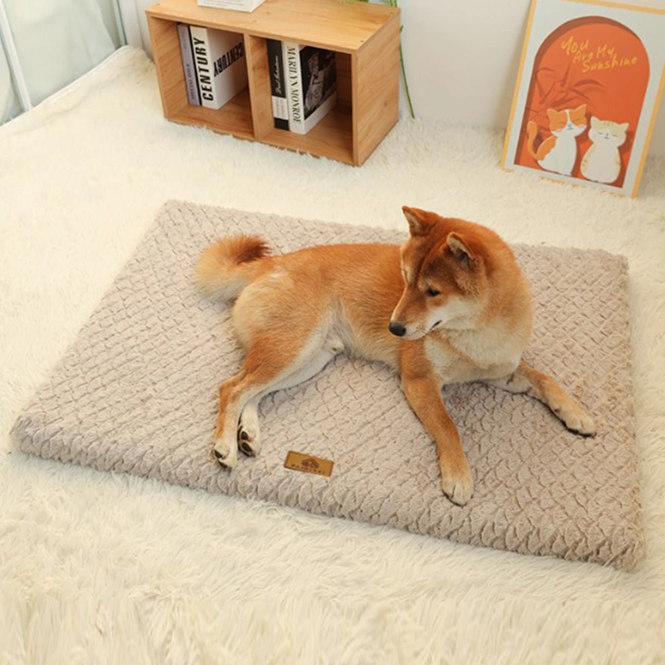 Dog Bed Detachable Neck Guard Dog Sleeping Mat Soft Full Cat Kennel Four Seasons Warm Elastic Pet Dog Sofa - AnimalEssentials