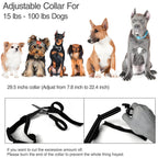 Dog Training Collar/Auto - barking Stopper 2 in 1 - AnimalEssentials