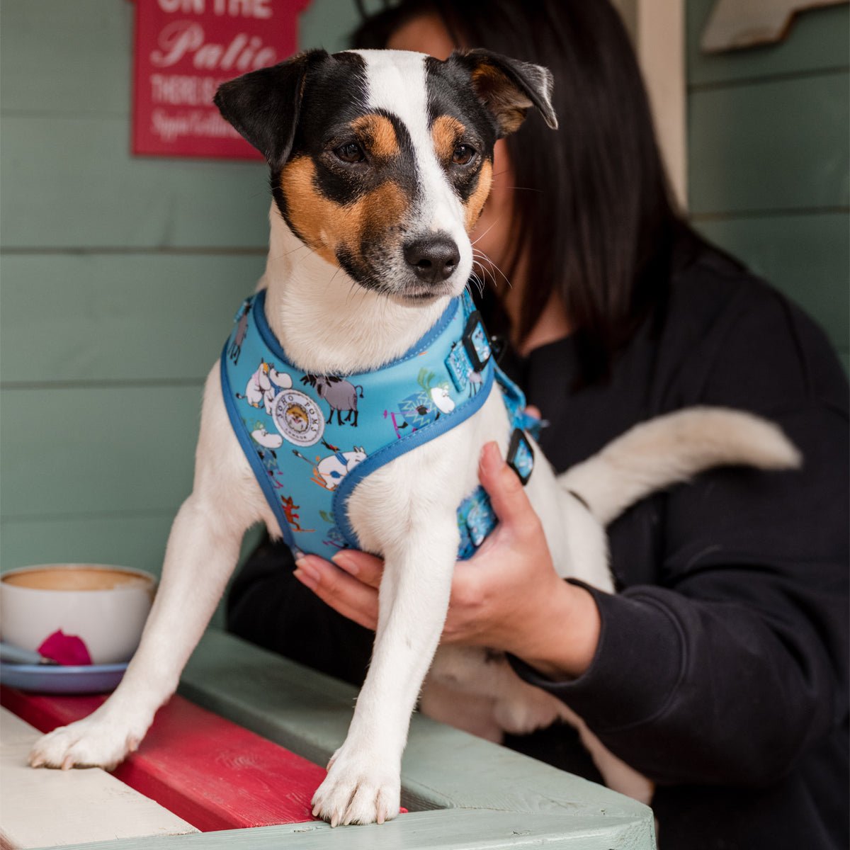 Moomins Blue Holiday Dogs Padded Harness by Soho Poms - AnimalEssentials