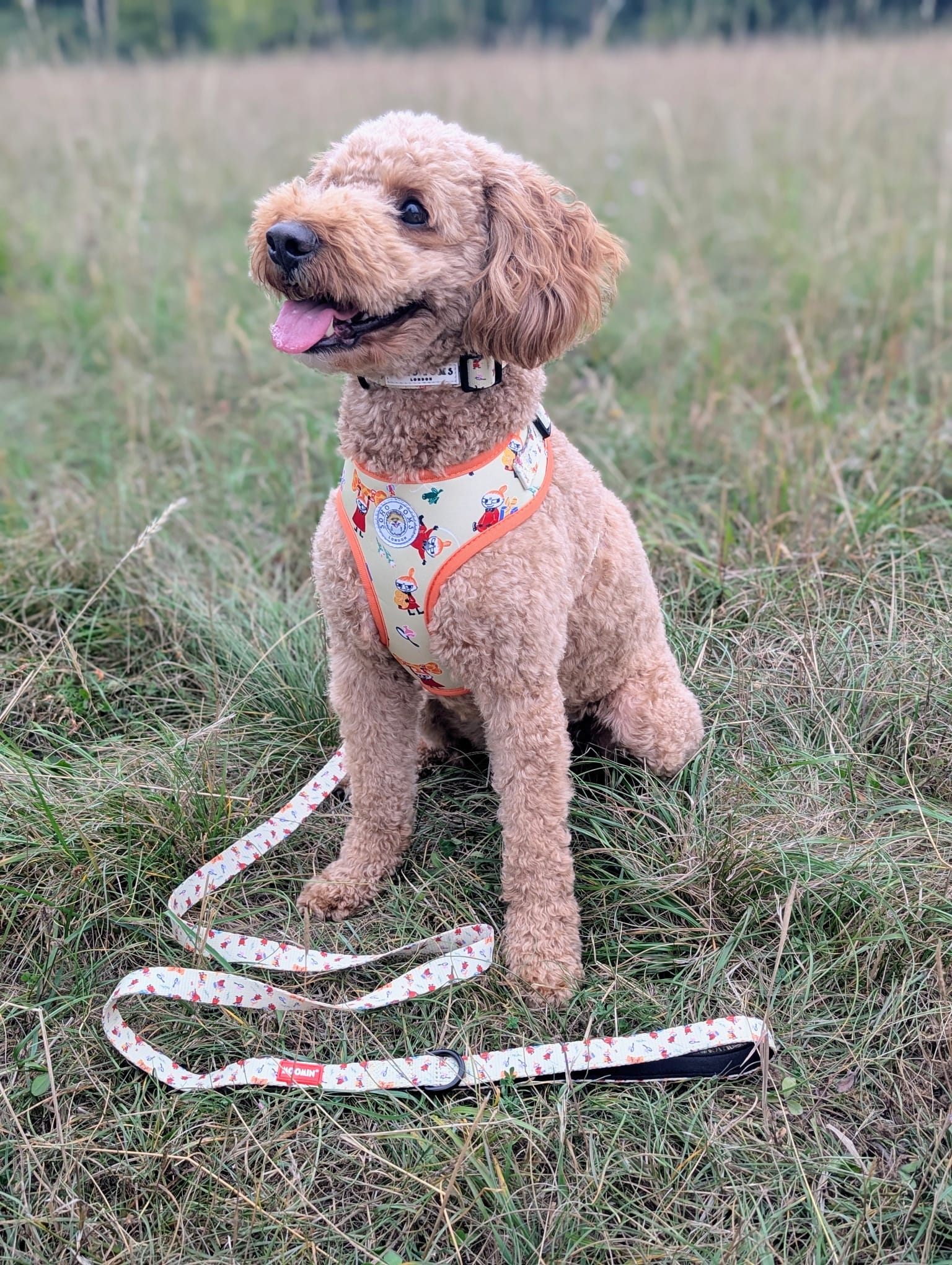 Moomins Yellow Sunrise Dog Lead by Soho Poms - AnimalEssentials