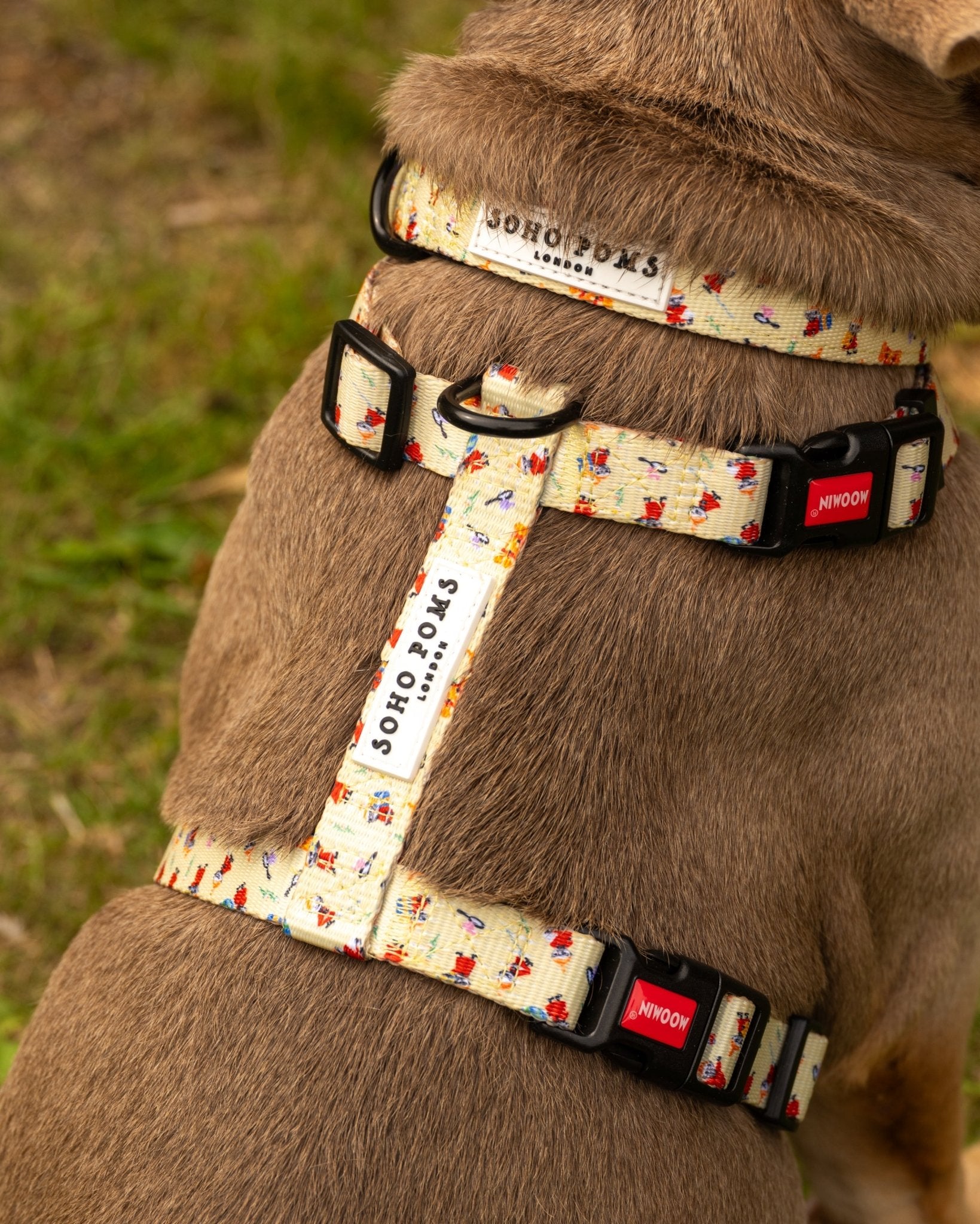 Moomins Yellow Sunrise Dogs H - Harness by Soho Poms - AnimalEssentials