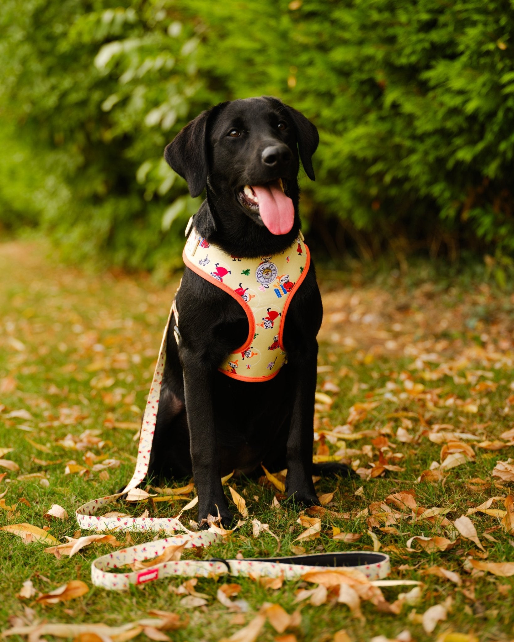 Moomins Yellow Sunrise Dogs Padded Harness by Soho Poms - AnimalEssentials