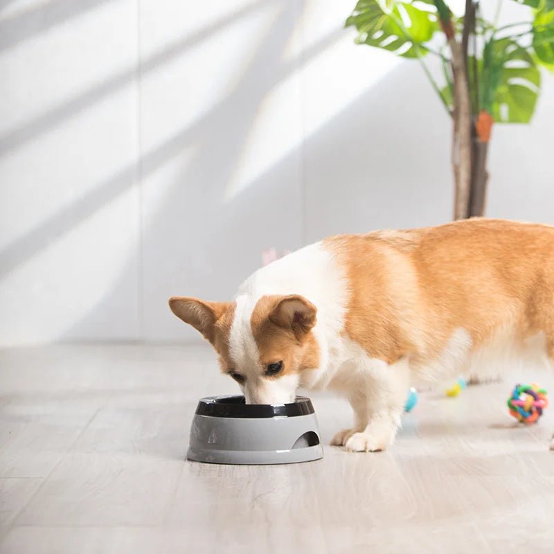 Pet Dog Bowls Floating Not Wetting Mouth Cat Bowl No Spill Drinking Water Feeder Plastic Portable Dog Bowl dog accessories - AnimalEssentials