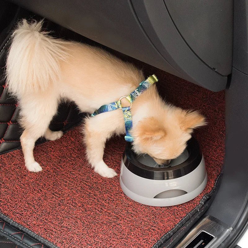 Pet Dog Bowls Floating Not Wetting Mouth Cat Bowl No Spill Drinking Water Feeder Plastic Portable Dog Bowl dog accessories - AnimalEssentials