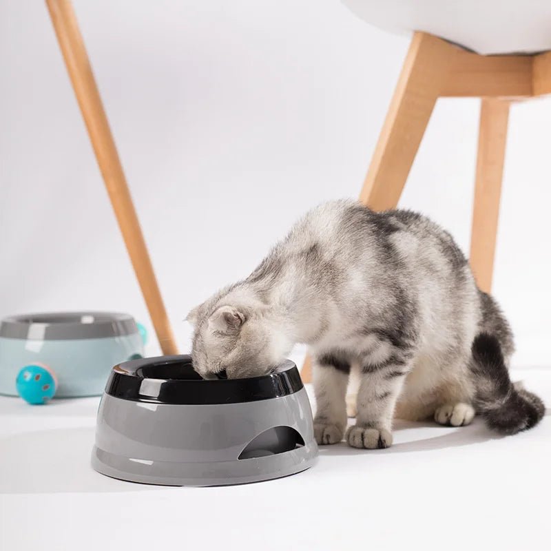 Pet Dog Bowls Floating Not Wetting Mouth Cat Bowl No Spill Drinking Water Feeder Plastic Portable Dog Bowl dog accessories - AnimalEssentials