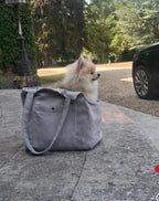 Soho Poms Grey Suede Camden Bear Dog Carrier - AnimalEssentials