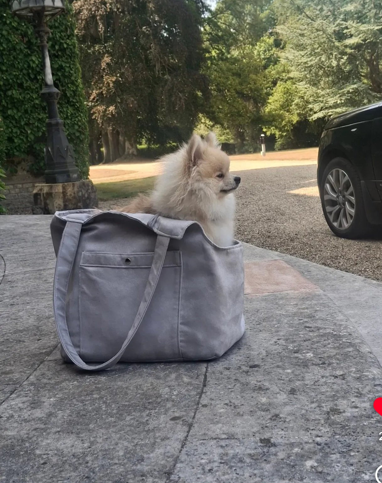 Soho Poms Grey Suede Camden Bear Dog Carrier - AnimalEssentials