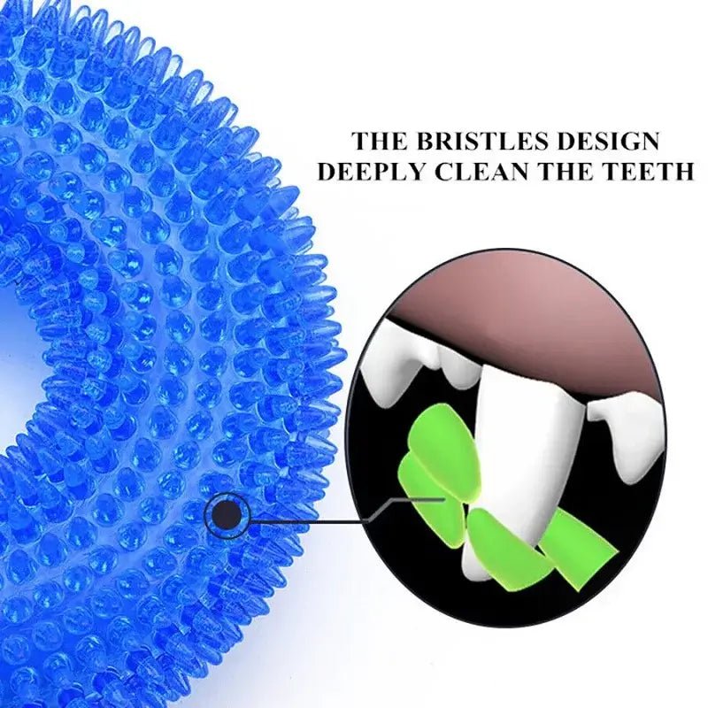 Squeaky Pet Dog Interactive Chew Toy Puppy Bite Resistant Thorn Barbed Tooth Cleaning Toy TPR Molar Chew Toys for Dogs - AnimalEssentials