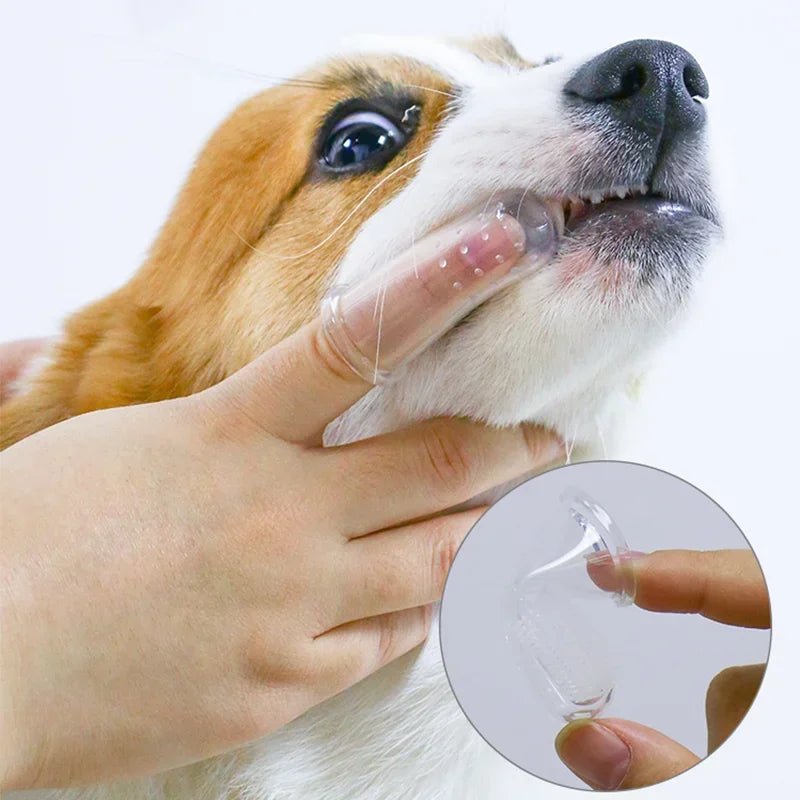 Super Soft Pet Finger Toothbrush Teddy Dog Brush Bad Breath Tartar Teeth Care Tool Dog Cat Cleaning Silicagel Pet Supplies - AnimalEssentials